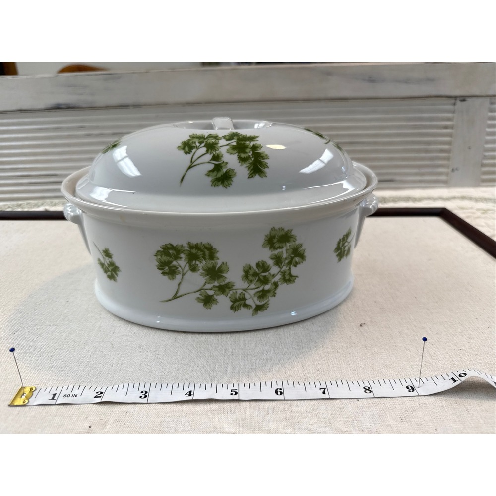 Vintage Parsley Oven To Table Cookware Oval Casserole Dish‎ with Lid Green White
